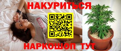стаф Славянск-на-Кубани