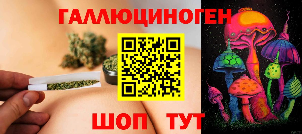 Унеча  Псилоцибиновые грибы прущие грибы  Вход с VPN 